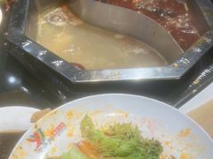 -蜀香居鲜毛肚火锅