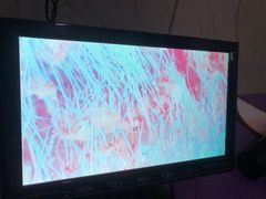 -福懋动物医院·犬猫全科·外科·重症科(杏林分院)