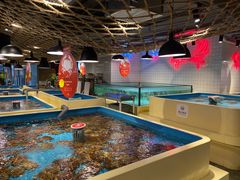 -日进一片海.生腌海鲜火锅.宵夜烧烤(三里屯总店)