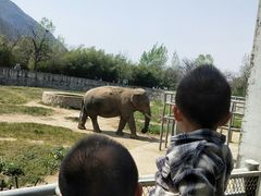 -西安秦岭野生动物园