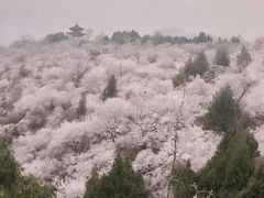 -白水寺森林公园