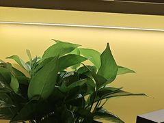 -梵猫·新养生(加州广场店)