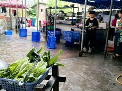 -章记正宗南岗鱼蛋火锅