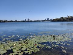 -长春市南湖公园