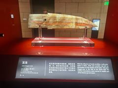 -金沙遗址博物馆