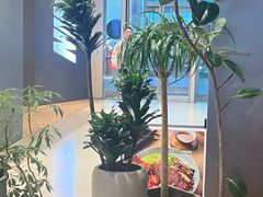-THE WOODS 简餐 (国贸商城店)