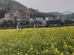 -红山村