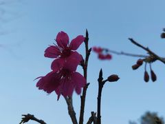 -金山公园