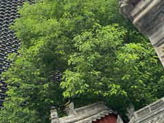 -罔极寺