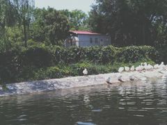 -西安汉城湖景区