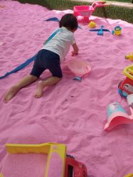 -萌宠亲子动物乐园(槐房万达店)