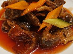 -燕春楼(海河华鼎店)