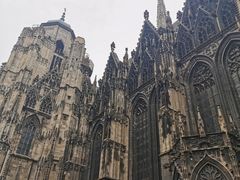 -斯蒂芬主教座堂(Stephansdom)