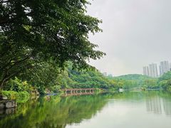 -重庆彩云湖湿地公园