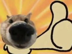 -鑫龙火锅城(青岛分店)