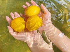 -国御温泉度假小镇