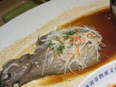 -三强鸽子(中原路店)