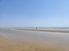 -日照海滨国家森林公园
