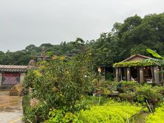 -清水湖度假村(罗浮山美食地标店)