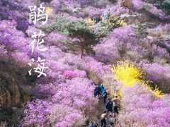 -青岛大珠山景区
