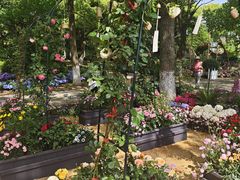 -上海鲜花港