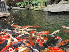 -新世纪大酒楼·30年南海菜
