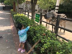 -贵州森林野生动物园