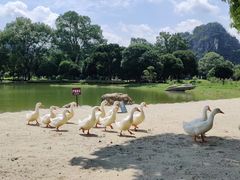 -Club Med地中海俱乐部·桂林度假村