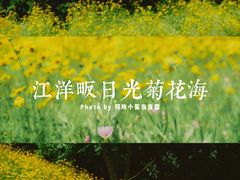 -西湖风景区-江洋畈生态公园