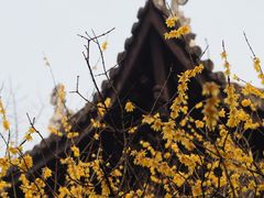 -乌镇西栅景区-月老庙