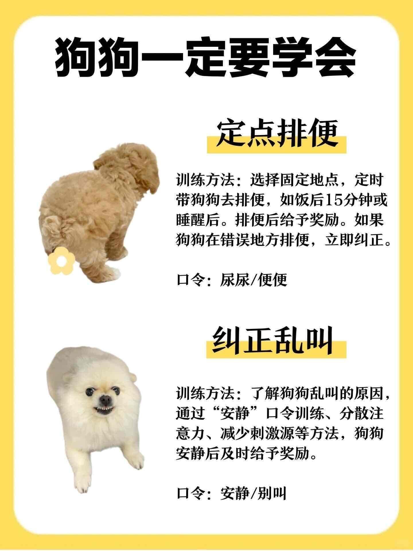 包含超度宠物的最佳时间的词条