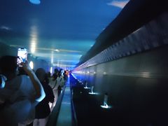 -白鹤梁水下博物馆