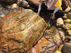 -西涌国际滨海旅游区