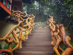 -将军关探险漂流