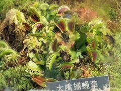 -国家植物园南园