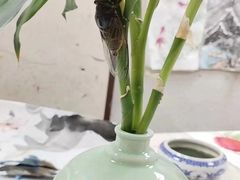 -秦汉胡同国学书法围棋民乐书院(青浦分馆)