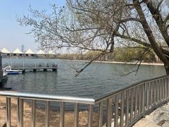 -长春市南湖公园