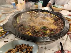 -费明中罗非鱼(大石坝店)