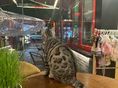 -府学·秋果S酒店(北京南锣鼓巷四合院店)