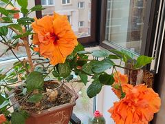 -沐泷泉(阳光店)