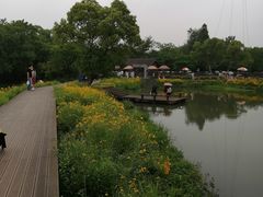 -西溪国家湿地公园