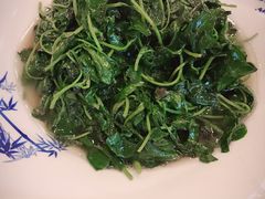 -旭龙鱼头王(航华店)