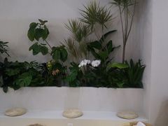 -Fruiffee Cafe 果啡派