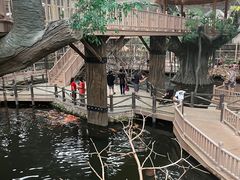 -南宫五洲植物乐园