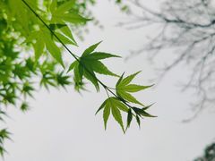 -杭州植物园