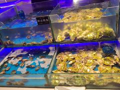 -SEA西雅图海鲜自助餐厅(海乐世界店)