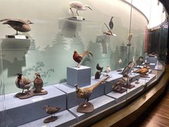 -陕西自然博物馆