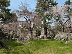 -京都御所