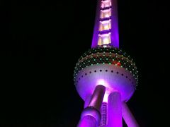 -东方明珠国际旅行社有限公司