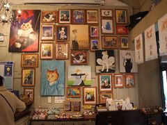 -猫咪博物馆(顶澳仔猫街店)